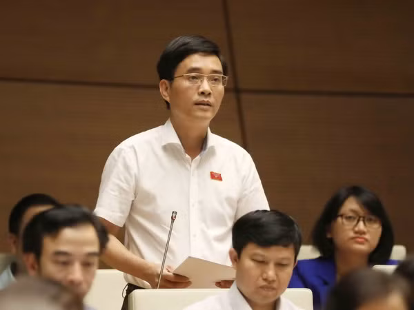 Đại biểu Quốc hội: Phải thực hiện nghiêm kỷ luật ngân sách ảnh 1