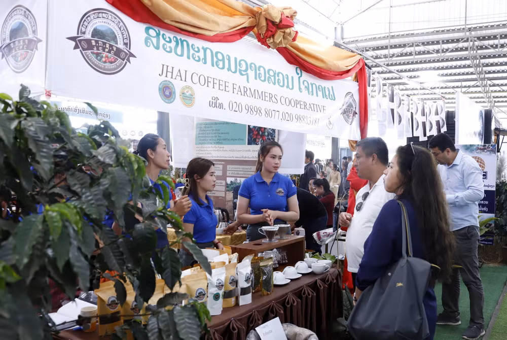 Cơ hội tìm hiểu thị trường Lào của các doanh nghiệp càphê Việt Nam ảnh 1