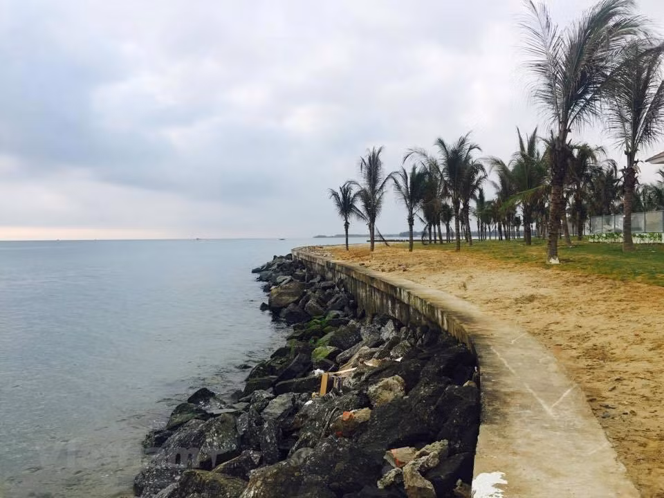 Chuyên gia Hà Lan đề xuất xây đảo nhân tạo chống sạt lở bờ biển Hội An ảnh 1