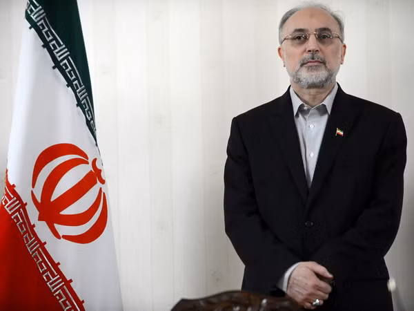 Iran đề xuất hợp tác hạt nhân với các nước vùng Vịnh ảnh 1