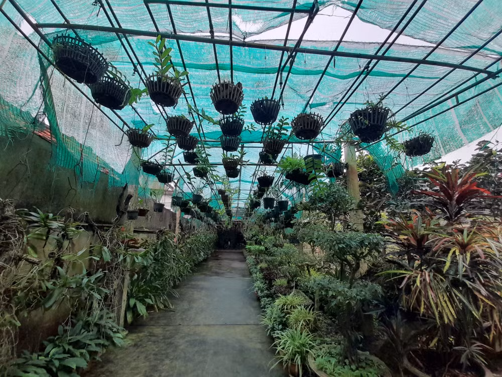 105 doanh nghiệp tham gia ‘tăng cường năng lực về kinh tế tuần hoàn’ ảnh 1