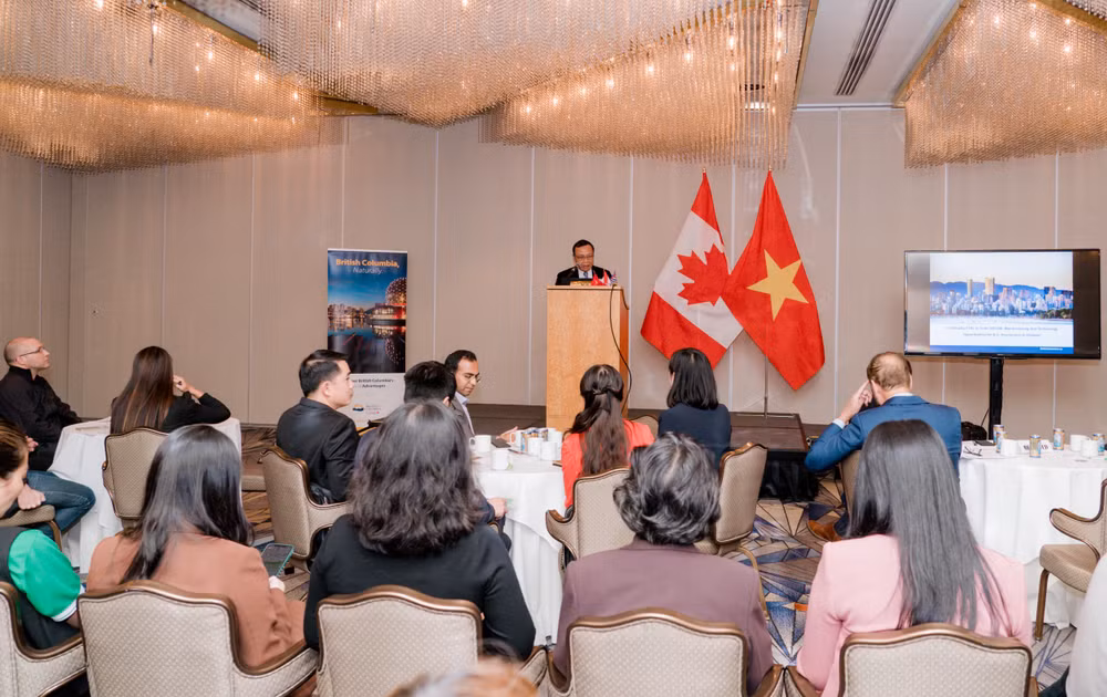 Việt Nam là điểm đến hàng đầu đối với hàng hóa Canada trong ASEAN ảnh 1