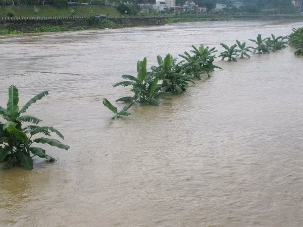 Xuất hiện lũ lớn trên sông Hồng, sông Chảy đoạn qua tỉnh Lào Cai ảnh 1