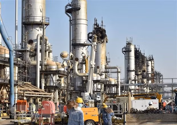 IEA và OPEC nhận định về thị trường dầu mỏ trong ngắn hạn ảnh 1