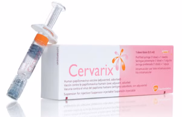 Vaccine Cervarix giúp giảm tới 87% nguy cơ ung thư cổ tử cung ảnh 1