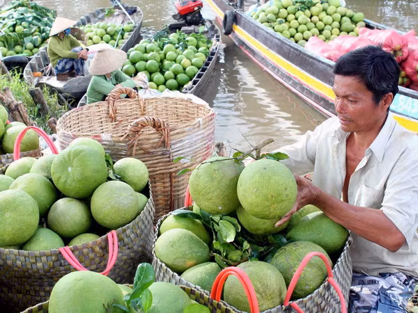Đưa nông sản Việt ra thế giới: Nỗ lực tìm 'thị trường khó tính' ảnh 1