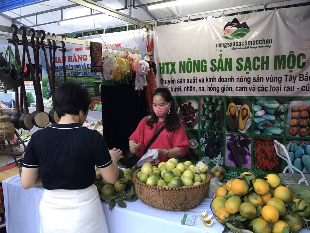 Vải thiều và nhiều nông sản ở miền Bắc chuẩn bị vào chính vụ thu hoạch ảnh 2