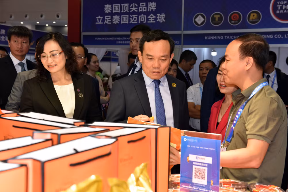 Doanh nghiệp Đông Nam Á, Nam Á tìm kiếm cơ hội hợp tác đầu tư ảnh 1