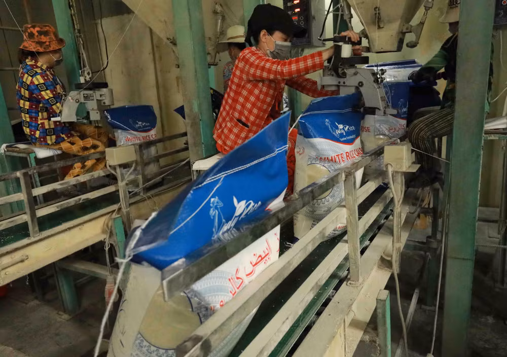 Thị trường nông sản tuần qua: Giá lúa, gạo tiếp tục tăng khá ảnh 1