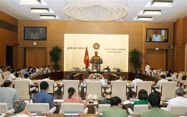Thành lập hai đoàn giám sát của Ủy ban Thường vụ Quốc hội ảnh 1