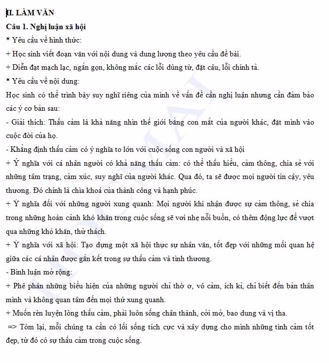 Gợi ý giải đề thi môn Ngữ Văn về lòng trắc ẩn và sự thấu cảm ảnh 2
