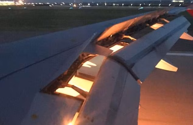 Máy bay chở đội tuyển Saudi Arabia bốc cháy trên không ảnh 1