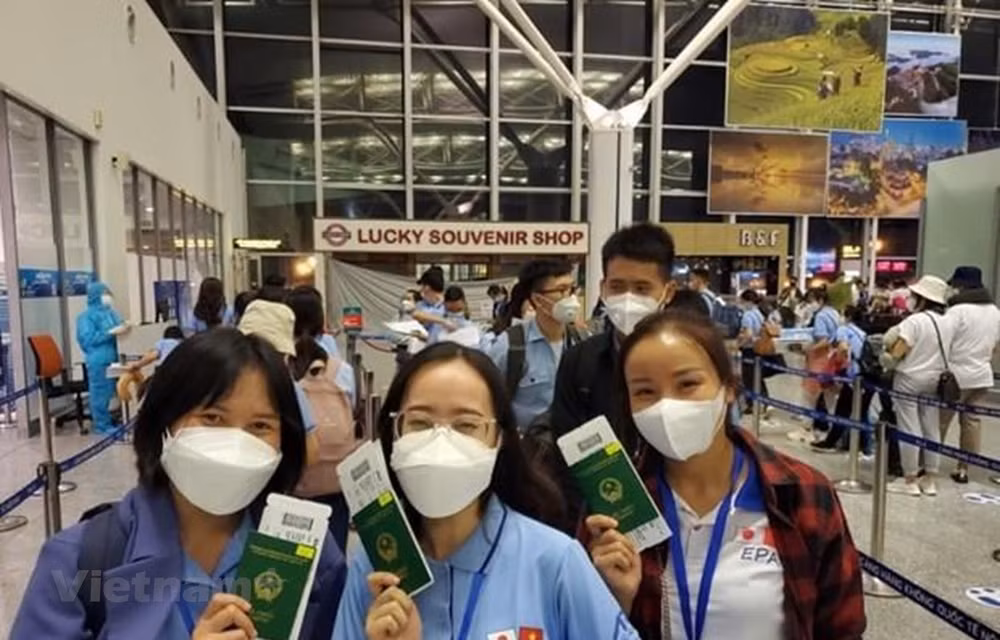 Hơn 56.800 lao động Việt Nam đi làm việc ở nước ngoài trong 7 tháng ảnh 1