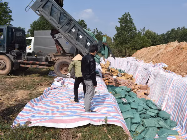 Quảng Bình tiêu hủy trên 606 tấn hải sản không đảm bảo an toàn ảnh 1