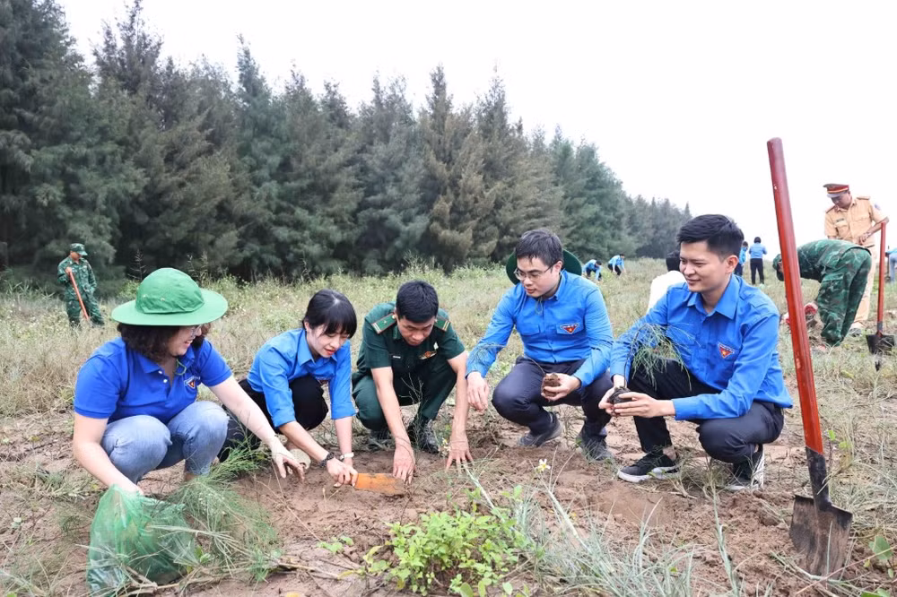 ttxvn_thanh nien_trong cay phi lao_ninh binh 2.jpg