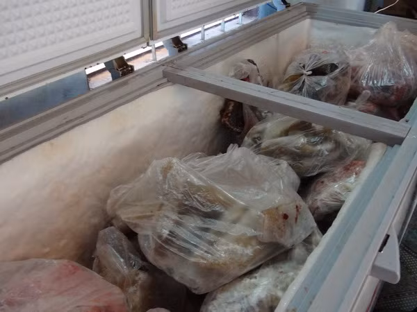 Hà Nội và Quảng Nam phát hiện, thu giữ hơn 1 tấn thực phẩm bẩn ảnh 1