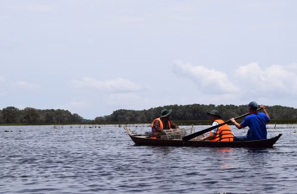 Đắm mình vào thiên nhiên ở Ramsar Tràm Chim mùa nước nổi ảnh 2