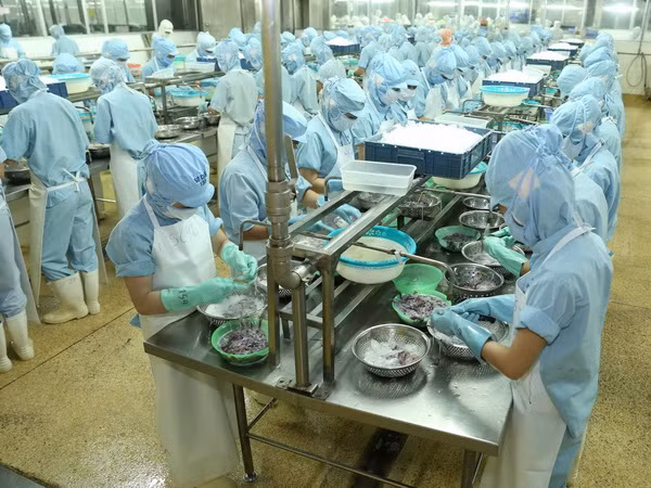 Bộ trưởng Trần Tuấn Anh: Lấy sức ép cạnh tranh là động lực phát triển ảnh 2
