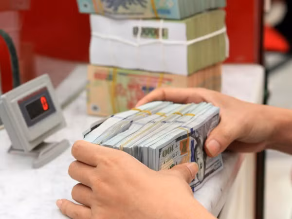 Đề xuất kéo dài cho vay ngoại tệ để thanh toán đến 31/12/2017 ảnh 1