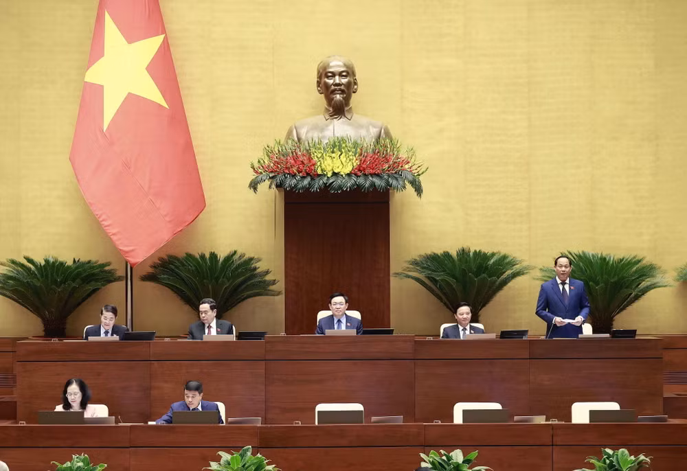 Bước đầu khắc phục tình trạng manh mún trong các dự án giảm nghèo ảnh 1