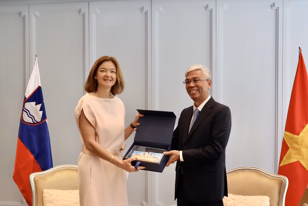 Thành phố Hồ Chí Minh luôn coi Slovenia là một đối tác tiềm năng ảnh 2