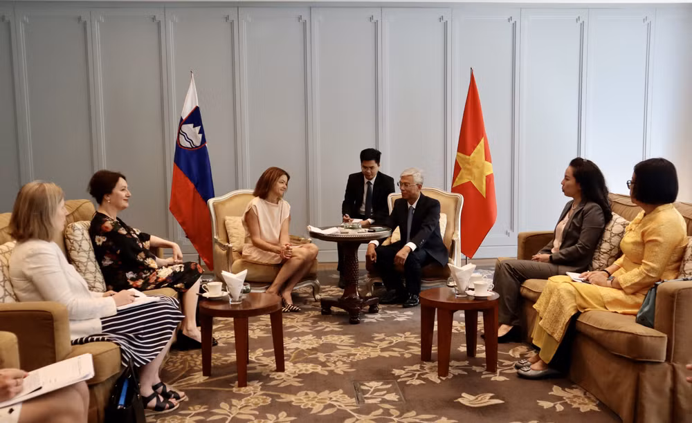 Thành phố Hồ Chí Minh luôn coi Slovenia là một đối tác tiềm năng ảnh 1