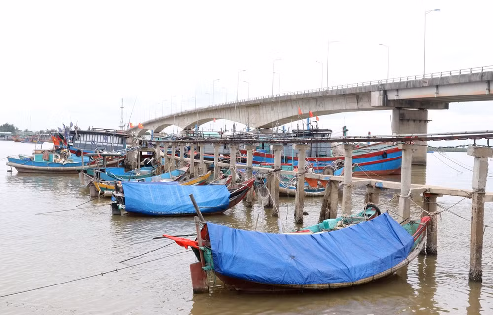 Chủ động ứng phó với áp thấp nhiệt đới có khả năng mạnh lên thành bão ảnh 1