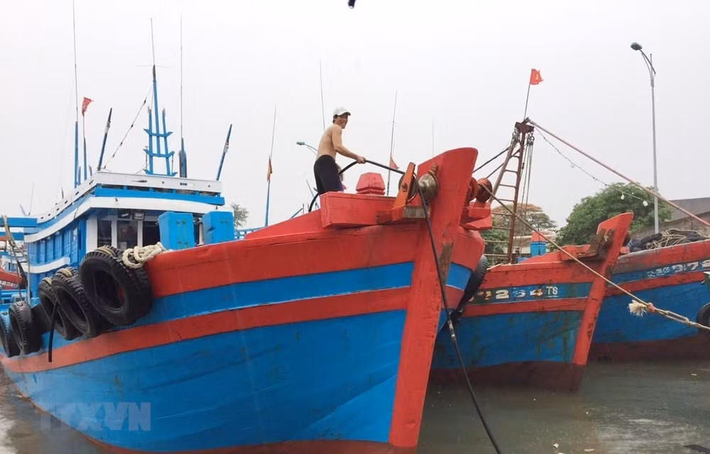 Quảng Trị nghiêm cấm tàu thuyền ra khơi từ chiều 23/9 để tránh bão ảnh 1