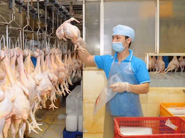 Ban hành kế hoạch hành động năm vệ sinh an toàn thực phẩm ảnh 1
