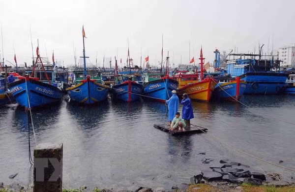 Chủ động ứng phó với áp thấp nhiệt đới và mưa lớn diện rộng ảnh 1