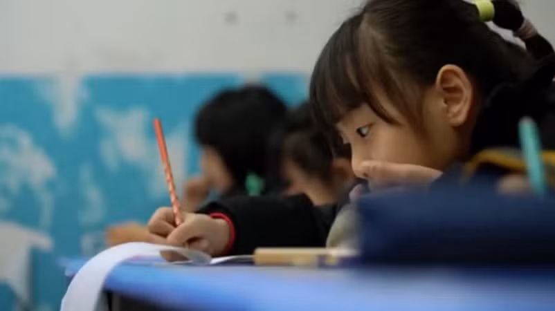Dạy thêm ở Trung Quốc: Chuyện về những "tiểu yêu nuốt vàng" ảnh 3