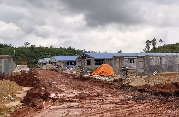 Xây trang trại không phép, chủ doanh nghiệp bị xử phạt 380 triệu đồng ảnh 1