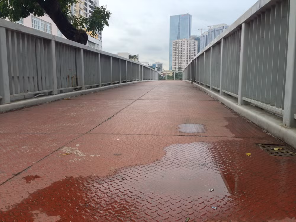 Cầu vượt cho người đi bộ: Kỳ vọng nhiều, thất vọng không kém ảnh 2