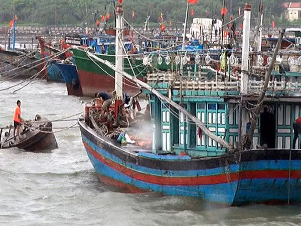 Thành lập các đoàn kiểm tra xuống địa phương ứng phó với bão số 3 ảnh 1