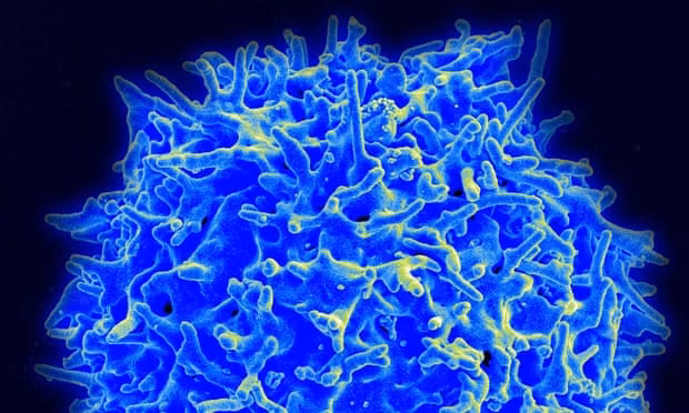 Anh khuyến nghị bào chế vaccine mới có thể chống tất cả virus corona ảnh 1