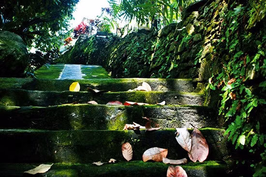 Phát triển du lịch sinh thái tại di tích quốc gia làng cổ Lộc Yên ảnh 1