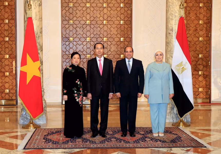 Chủ tịch nước Trần Đại Quang hội đàm với Tổng thống Ai Cập Al Sisi ảnh 1