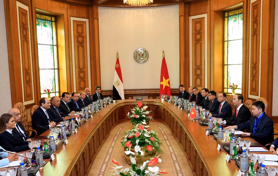 Chủ tịch nước Trần Đại Quang hội đàm với Tổng thống Ai Cập Al Sisi ảnh 3
