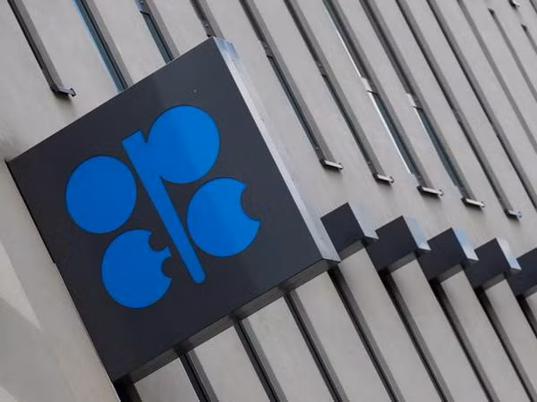 OPEC kêu gọi các chiến lược mới để cân bằng thị trường dầu mỏ ảnh 1