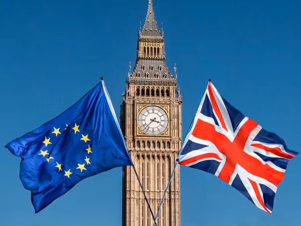Anh không có kế hoạch tổ chức trưng cầu dân ý Brexit lần 2 ảnh 1