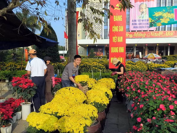 Tràn ngập những sắc màu rực rỡ ngày Xuân ở chợ hoa Cố đô Huế ảnh 1