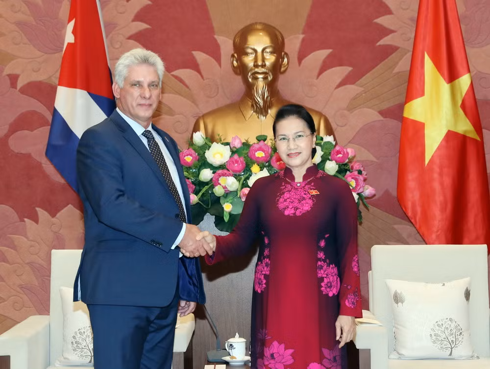 Chủ tịch Quốc hội Nguyễn Thị Kim Ngân hội kiến Chủ tịch Cuba ảnh 1