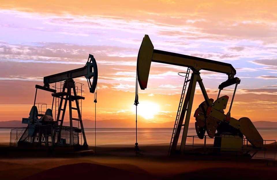 Sản lượng khai thác dầu của OPEC giảm nhẹ trong tháng 11 ảnh 1