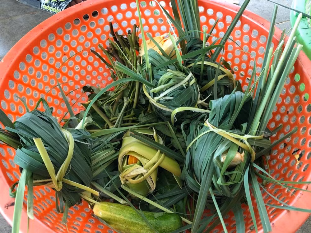 ‘Hãy cho gấu cuộc sống tốt đẹp hơn tại các trung tâm bảo tồn’ ảnh 3