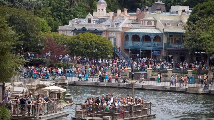 Phát hiện khuẩn Legionella gây bệnh phổi tại công viên Disneyland ảnh 1