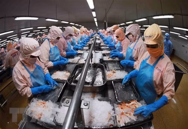 Xuất khẩu nông, lâm, thủy sản sẽ có tăng trưởng từ quý 4 năm 2023 ảnh 2