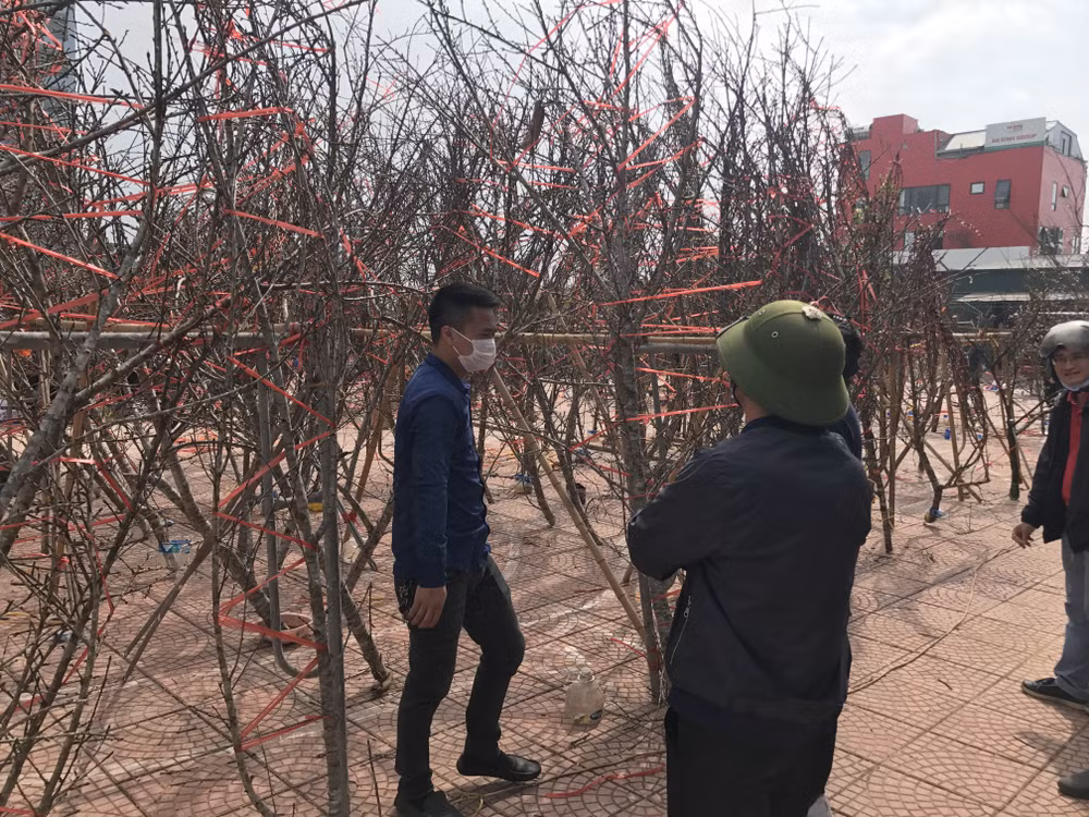 Hà Nội yêu cầu ứng trực 24/24 giờ để tiếp nhận thông tin về COVID-19 ảnh 1