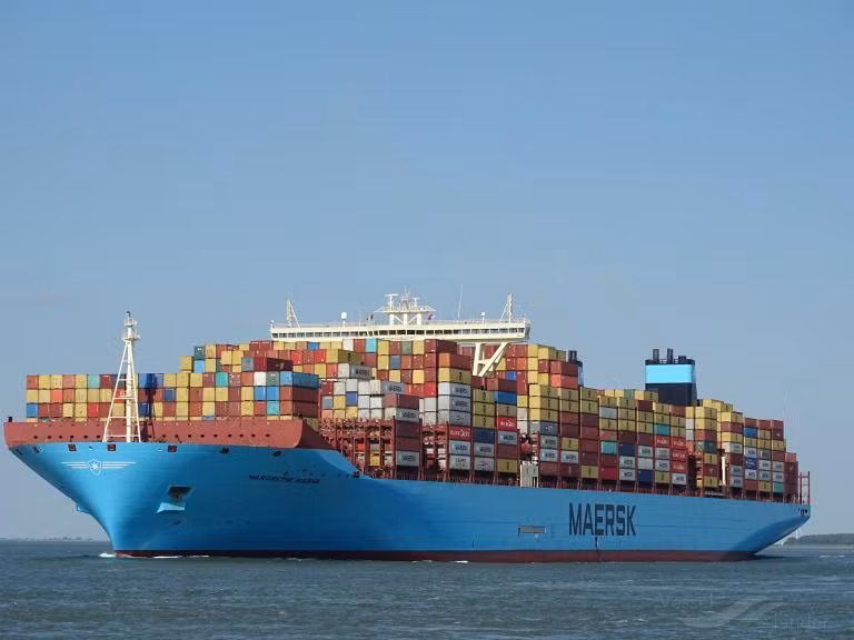 Việt Nam sắp đón 'siêu tàu' chở container lớn nhất thế giới ảnh 1