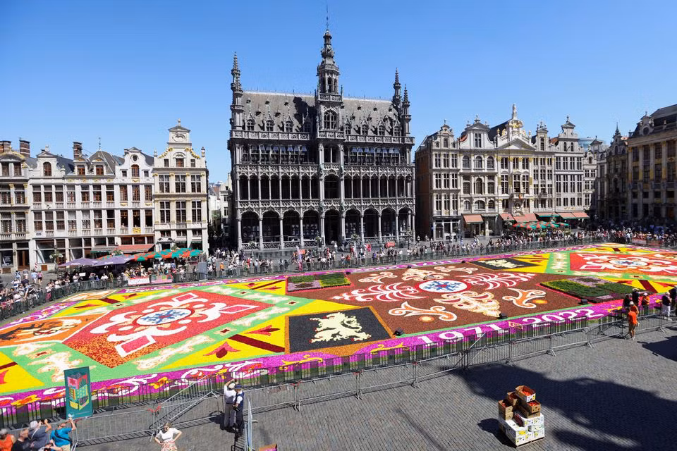 Bỉ: Thảm hoa Brussels chào đón du khách sau 2 năm vắng bóng ảnh 1