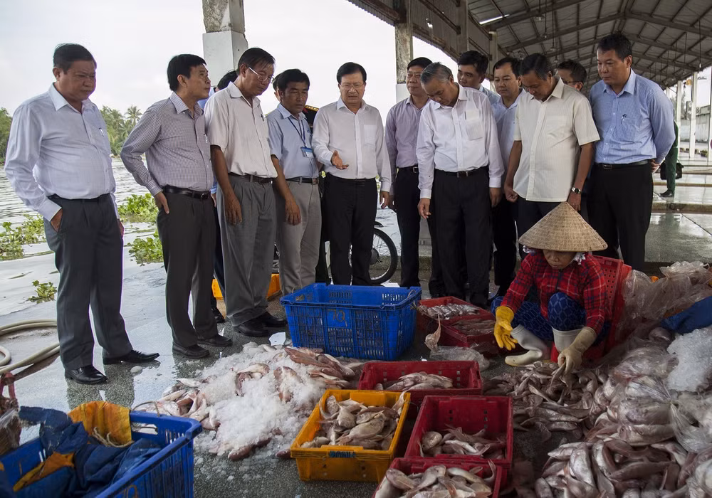Việt Nam thực hiện hiệu quả các khuyến nghị của Ủy ban châu Âu về IUU ảnh 1